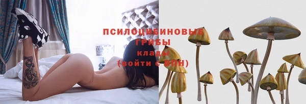стаф Карпинск