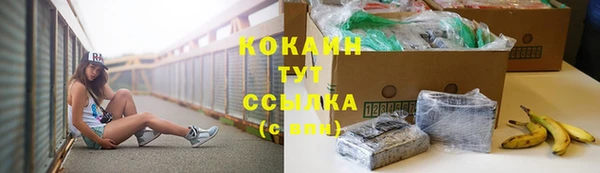 стаф Карпинск